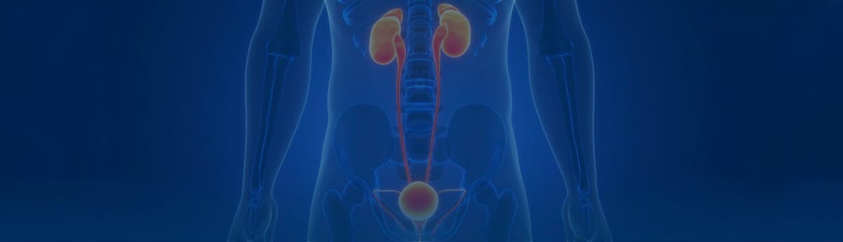 Genitourinary Cancers